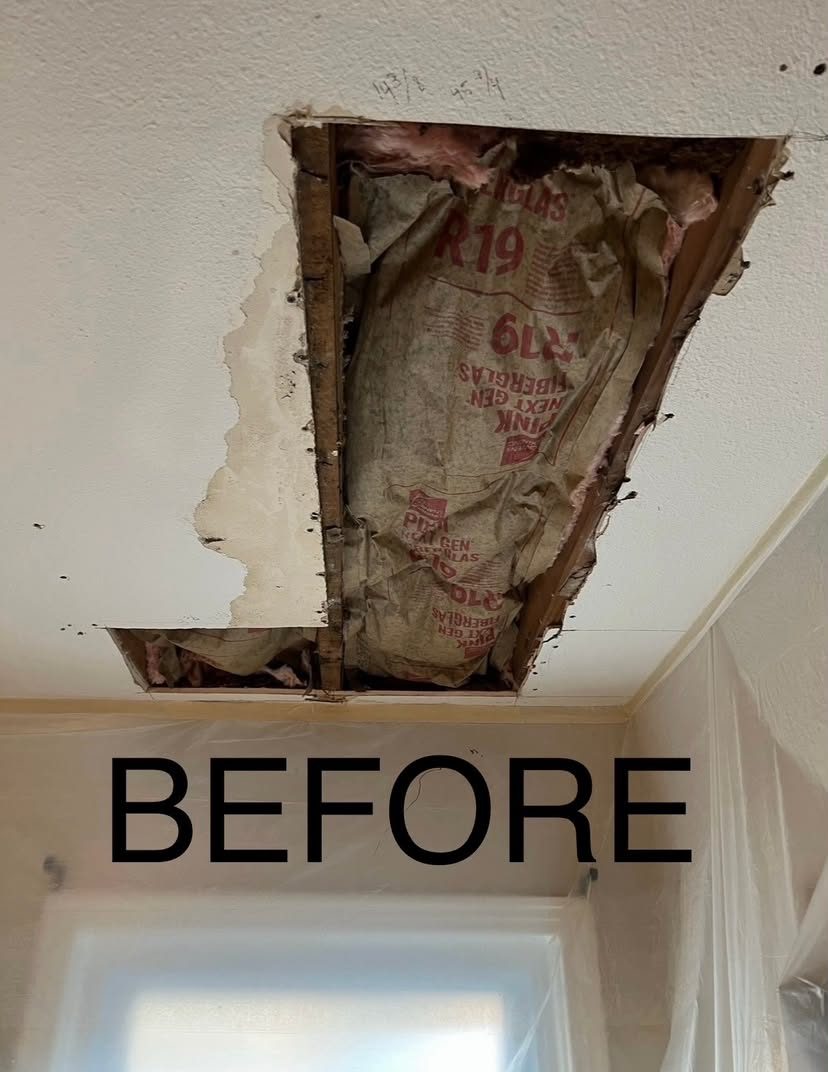 Water-damaged ceiling cut back to the joists, showing R19 insulation and framing, with plastic sheeting protecting the walls below